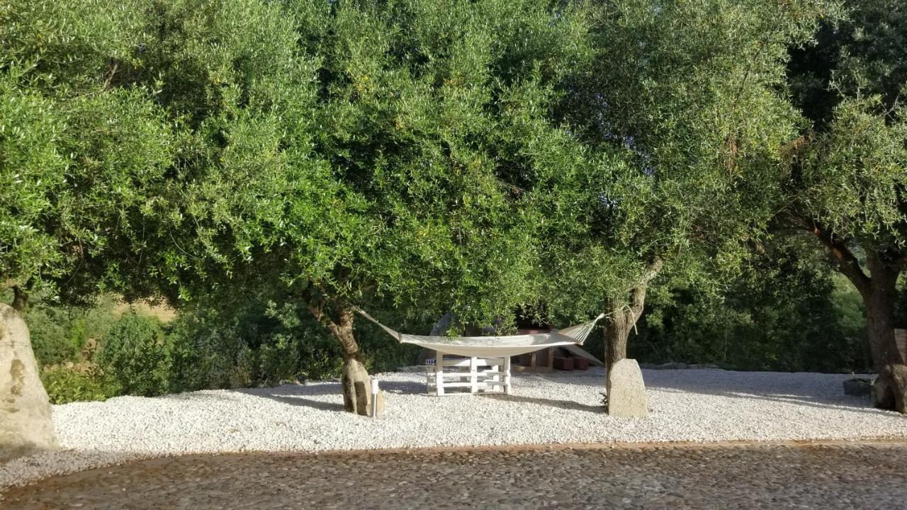 Casa Vacanza Centro Sardegna Sorgono Ngoại thất bức ảnh