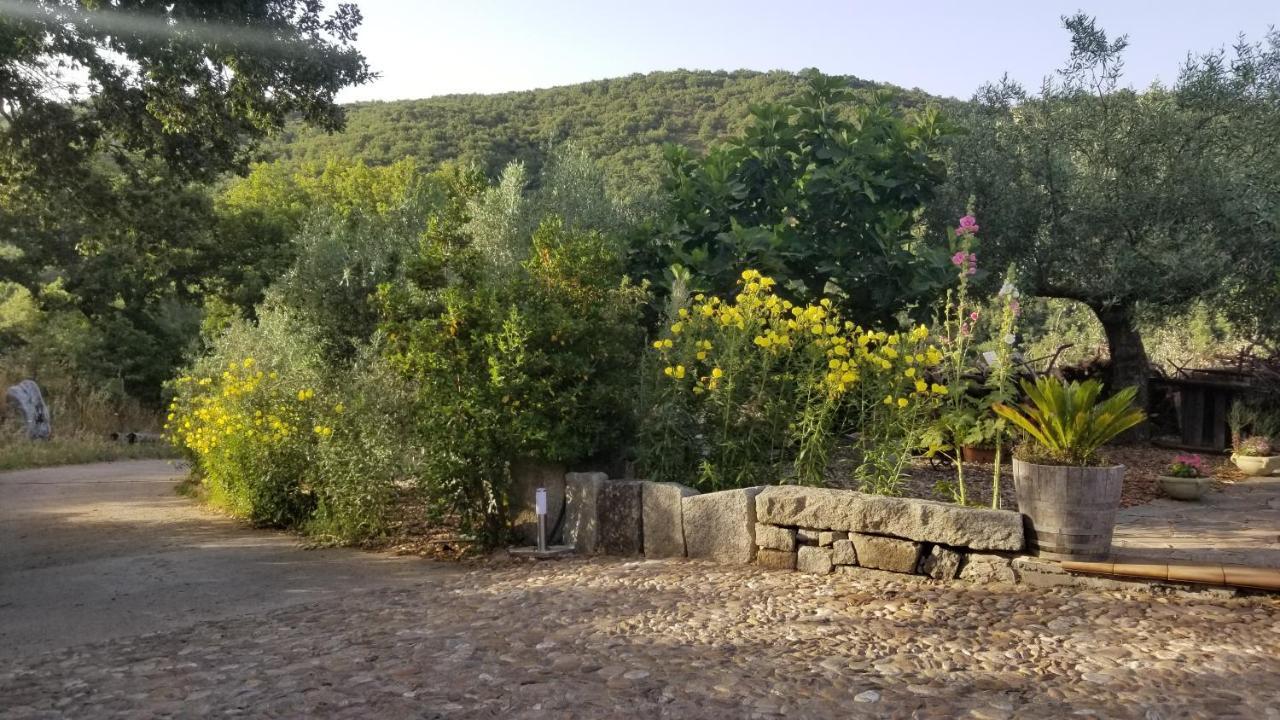 Casa Vacanza Centro Sardegna Sorgono Ngoại thất bức ảnh