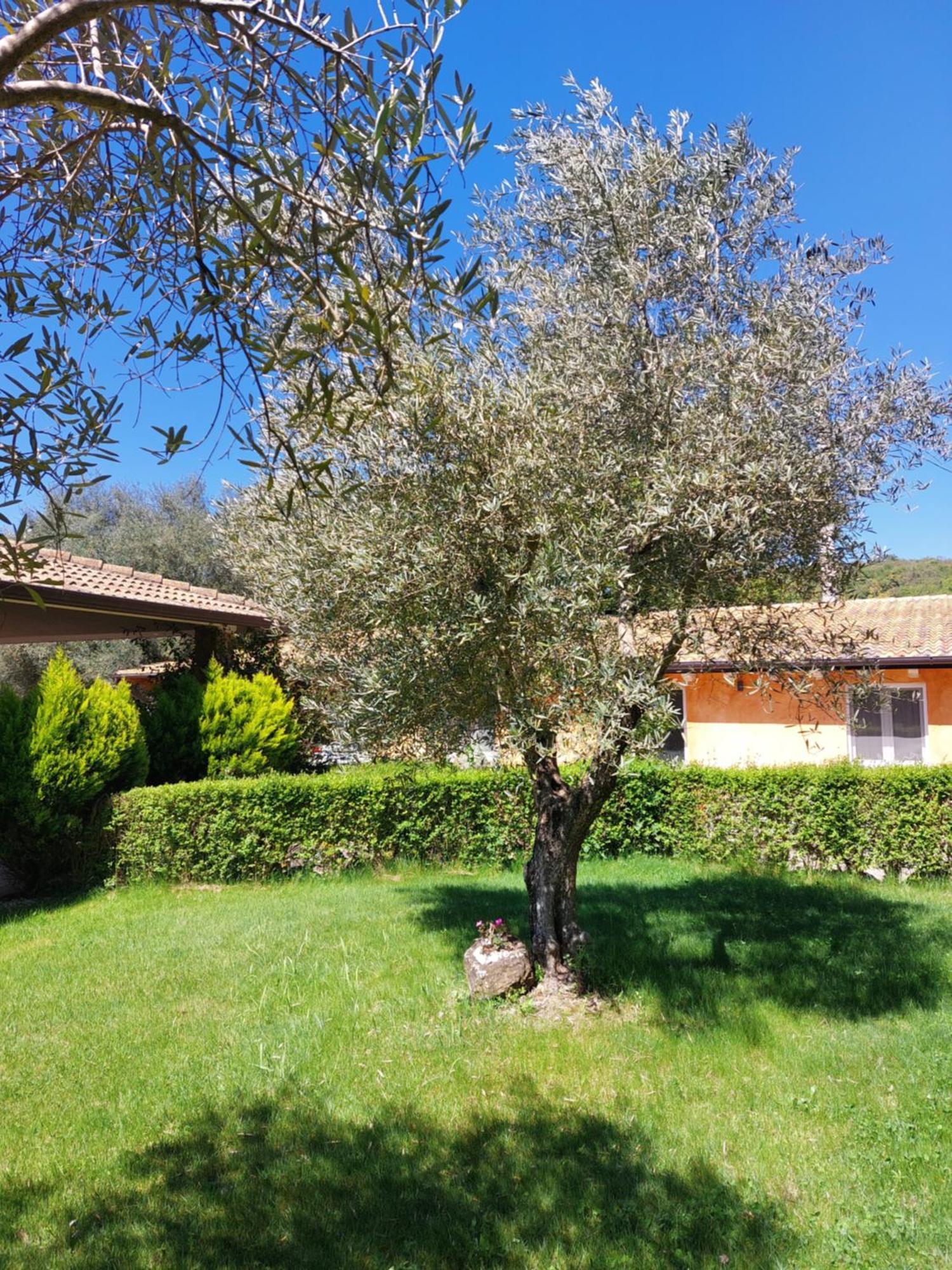 Casa Vacanza Centro Sardegna Sorgono Ngoại thất bức ảnh