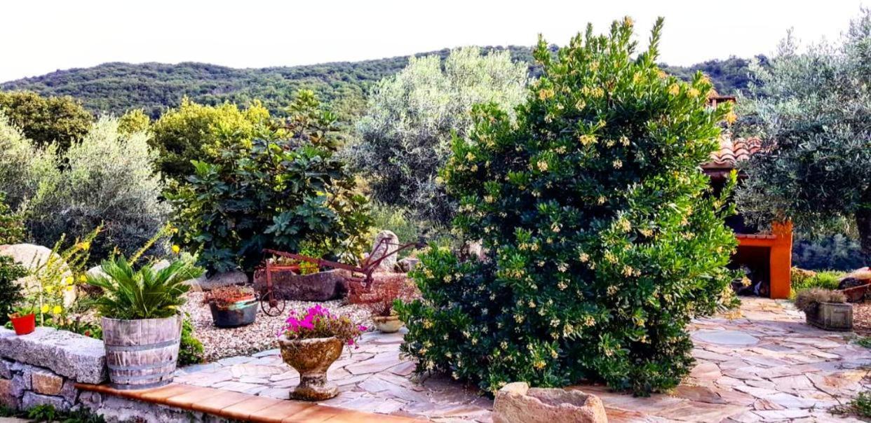 Casa Vacanza Centro Sardegna Sorgono Ngoại thất bức ảnh
