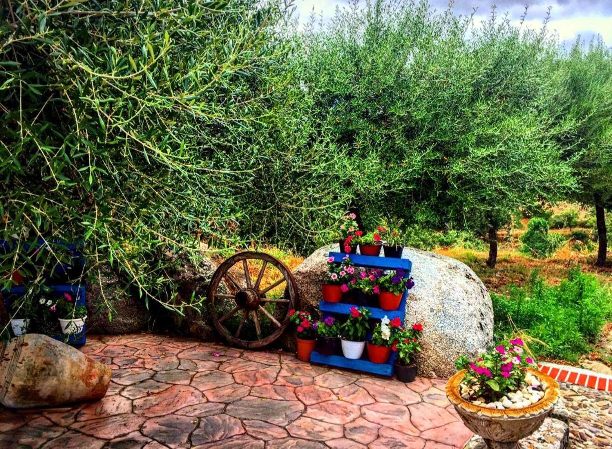 Casa Vacanza Centro Sardegna Sorgono Ngoại thất bức ảnh